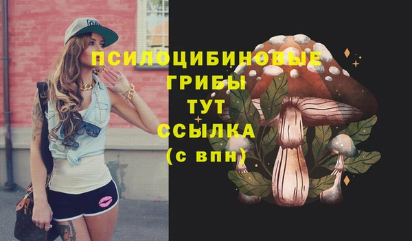 дурь Верея
