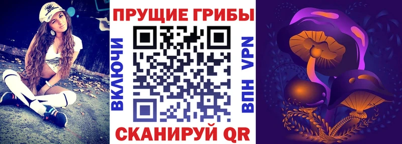 Купить  Пучеж  Галлюциногенные грибы GOLDEN TEACHER 